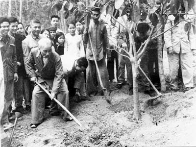 Bác Hồ phát động Tết trồng cây Xuân Ất Tỵ 1965