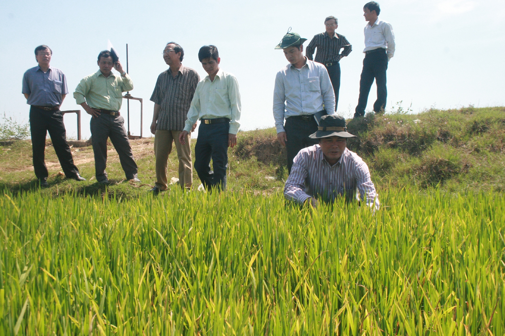 Phó Chủ tịch UBND tỉnh Phạm S kiểm tra tình hình hạn hán tại 3 huyện phía Nam