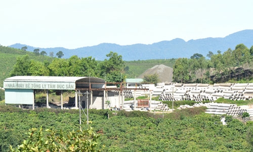 Công đoàn cơ sở Tân Việt (Bảo Lộc): “Lá cờ đầu” trong phong trào thi đua