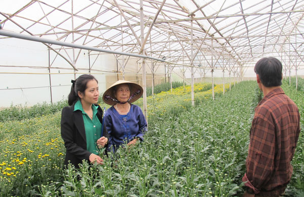Bàn tay vun tổ ấm