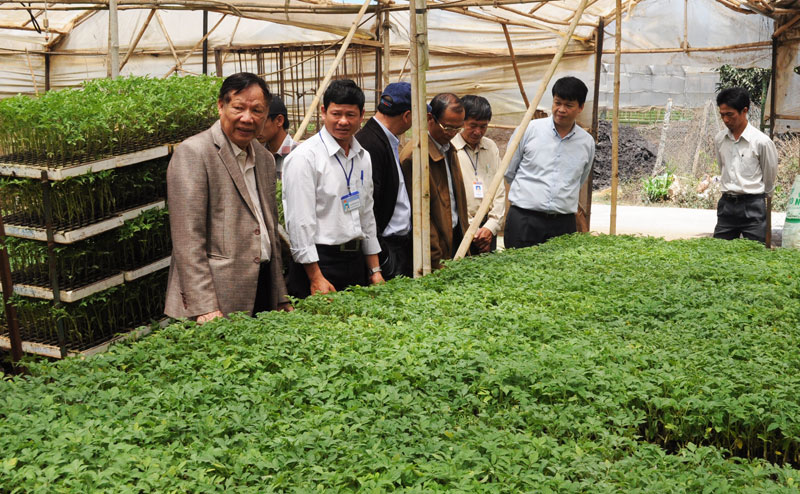 Nâng cao đời sống cho người dân để xây dựng nông thôn mới