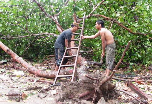 Đạ Huoai: Lốc xoáy tàn phá trên 40 ha cây trồng