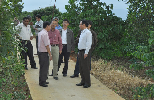 Thôn Hàng Hải - Điển hình góp sức xây dựng nông thôn mới