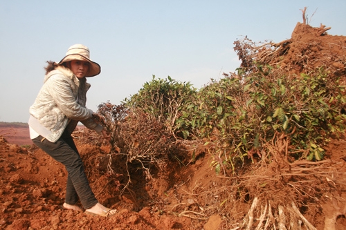 Chưa đền bù đã lấy đất của dân