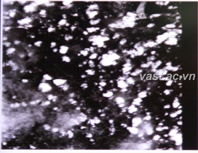 Ảnh chụp khu vực Hà Nội từ vệ tinh VNREDSat-1