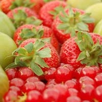 Bí quyết giải độc cơ thể bằng hoa quả