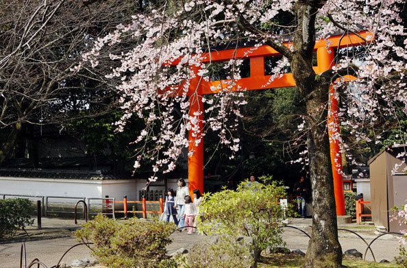 Sức quyến rũ Kyoto