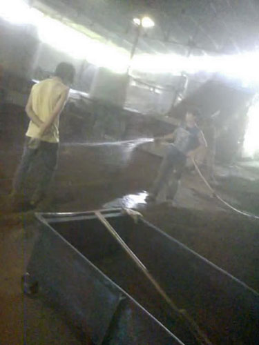Bài 1: Kinh hoàng trà &quot;cứt trâu&quot;
