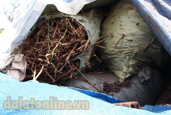 Cọng trà các loại cũng được cơ sở Dũng Linh tận dụng để xay và bán tái chế