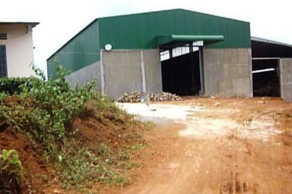 Cả bà Nhung và bà Linh đều có xưởng sản xuất lớn nằm tách biệt để chứa và đấu trộn trà.