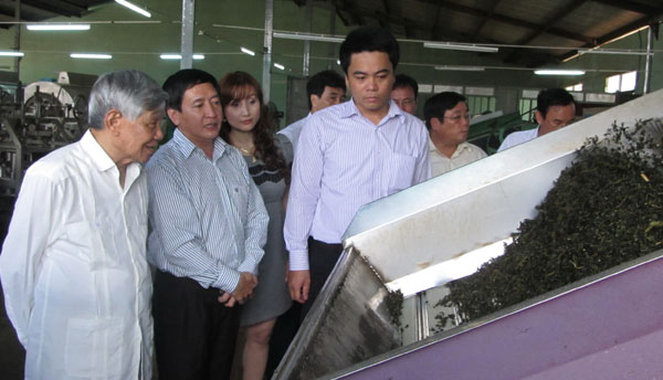 Trà Tâm Châu không ngừng đầu tư thiết bị hiện đại để nâng cao chất lượng sản phẩm