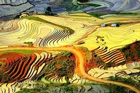 Ruộng bậc thang Sapa được công nhận là danh thắng quốc gia