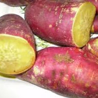 Khoai lang cực tốt cho sức khỏe