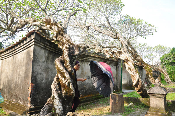 Lưu dấu nét thâm nghiêm gần ngàn năm