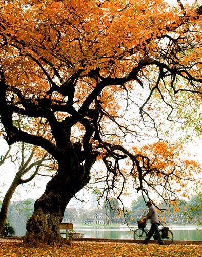 Tour "Sắc thu Hà Nội" khuyến mãi đặc biệt