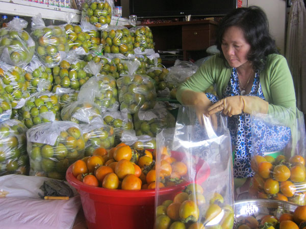 Hồng giòn Đà Lạt