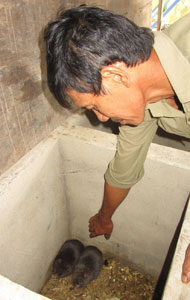 Người cựu binh noi theo gương Bác