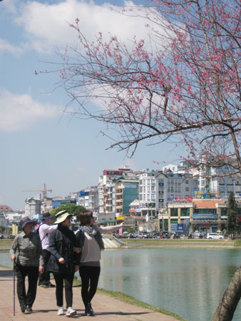 Đà Lạt xuân. Ảnh: Thanh Toàn