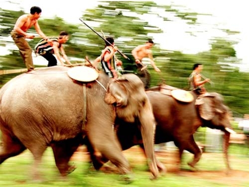 Đồ săn voi của Vua voi vào Bảo tàng
