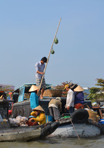 Đà Lạt - Cần Thơ: Nối liền cao nguyên, sông nước