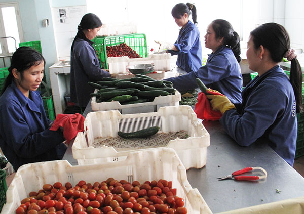 Nghiên cứu khoa học về an toàn thực phẩm