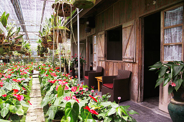 Home coffee - Chuyện một ngôi nhà