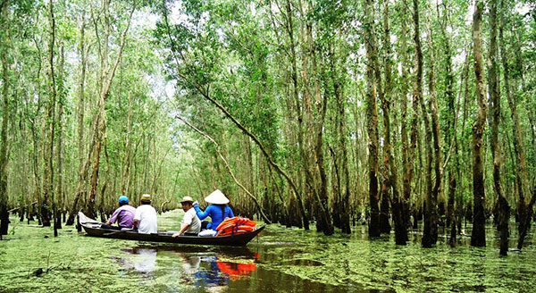 Vào rừng tràm thơm Đồng Tháp