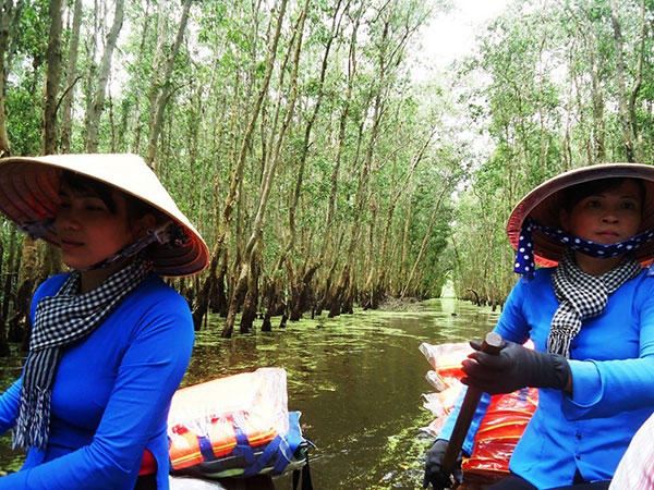 Các cô gái với chiếc áo bà ba, khăn rằn quấn cổ, nhẹ tay chèo trên chiếc thuyền gỗ chở khách vào rừng tràm