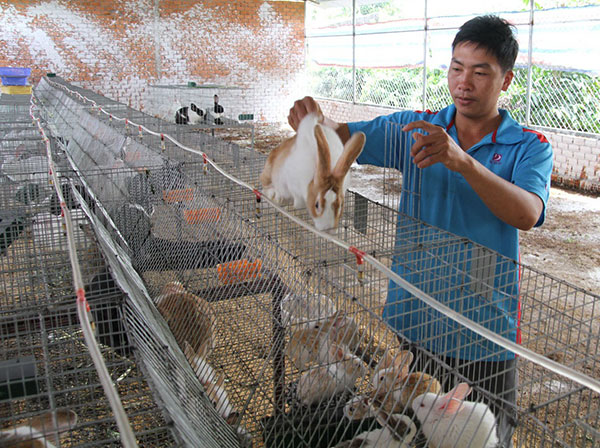 Người đảng viên trẻ làm theo lời Bác