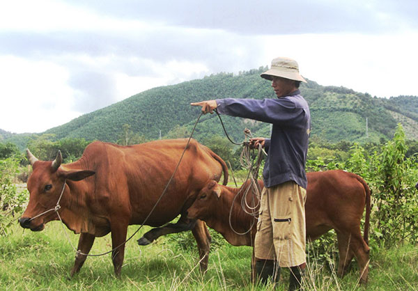 Vốn ít hiệu quả cao