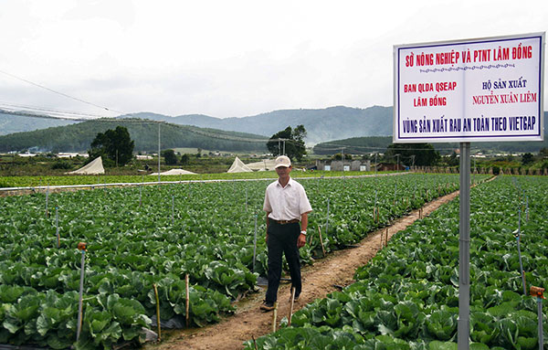 Lâm Đồng - nhìn lại năm 2014 và nhiệm vụ năm 2015