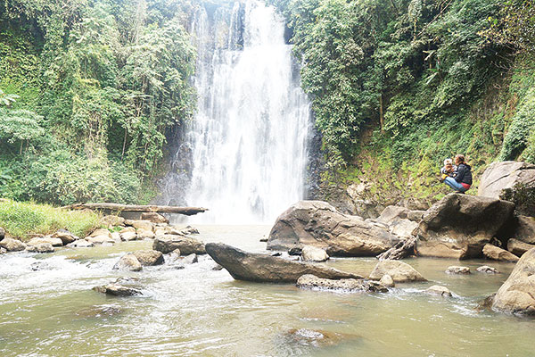 Nguyên sơ Liang Scat