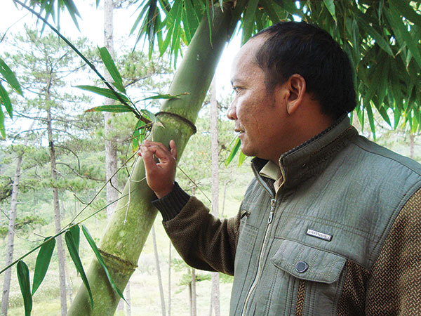 Nơi ấy, thượng nguồn Đa Nhim