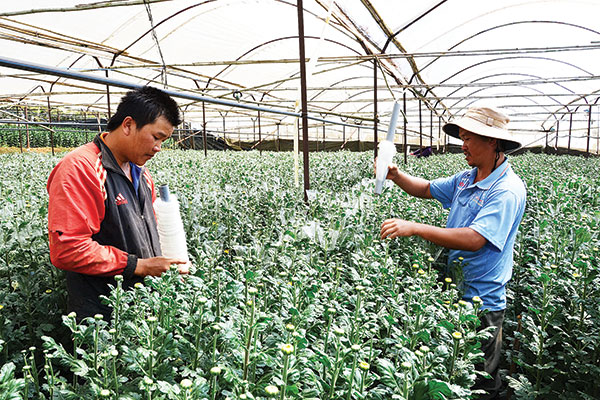 Khi thanh niên liên kết
