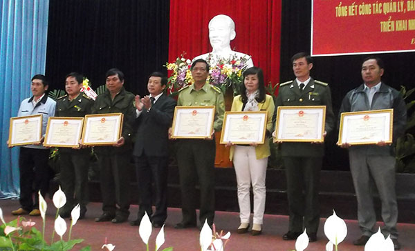 Sáu năm trên 13 ngàn vụ vi phạm liên quan đến rừng