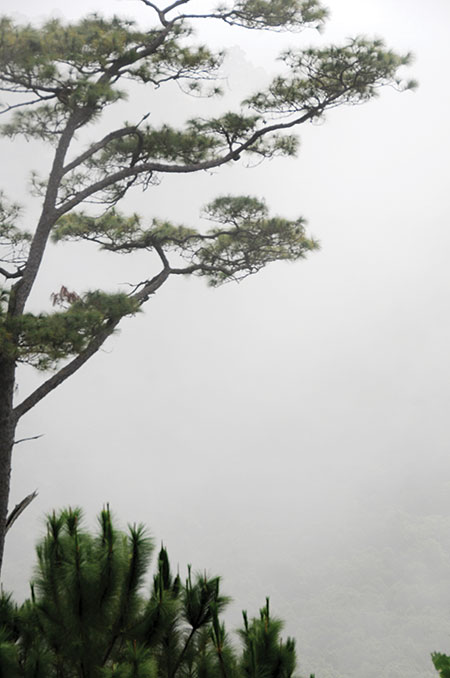 Sương khói ở Dran