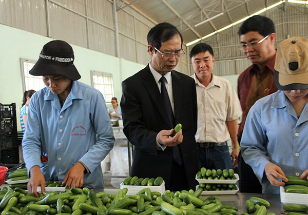 Đồng chí Hoàng Sĩ Sơn - Phó Bí thư Thường trực Tỉnh ủy thăm cơ sở đóng gói sản phẩm của Trang trại Phong Thúy