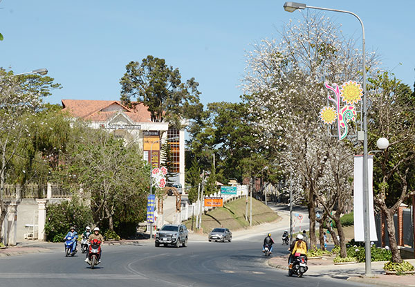 Đà Lạt: Lắp đặt thêm 77 đèn hoa