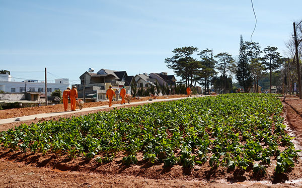 Công viên Trần Hưng Đạo sẽ hoàn thành trước ngày 3/4/2015