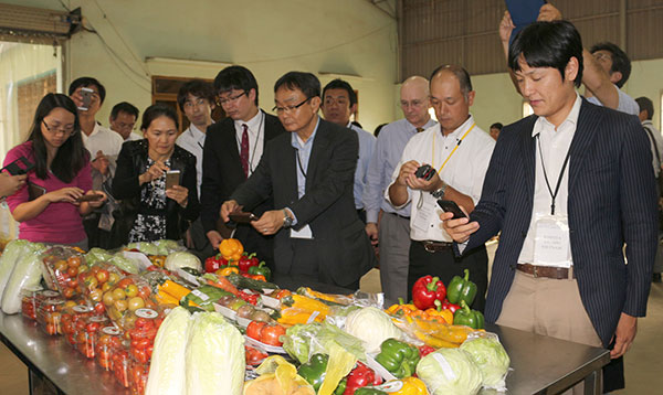 Du lịch canh nông ở Lâm Đồng - những vấn đề đặt ra