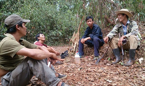 Mùa "ăn rừng"…