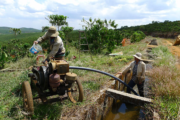 Cách chống hạn ở Bảo Lâm