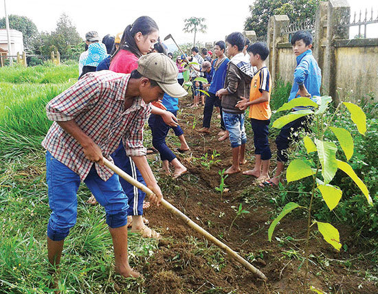 Câu lạc bộ Xanh