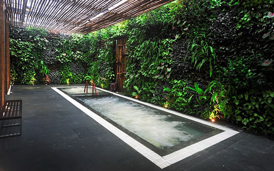 Bể Jacuzzi nóng - lạnh trong khu vườn thẳng đứng xanh mướt của khách sạn
