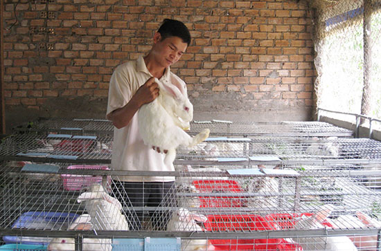 Ông chủ nhiệm trẻ