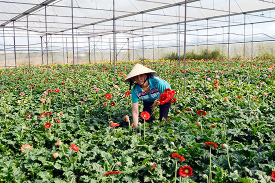Mỗi nông dân là một người bảo vệ môi trường