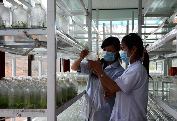 Các nguồn gen quý hiếm của nhiều loài động thực vật quý hiếm được nghiên cứu, bảo vệ tại đây