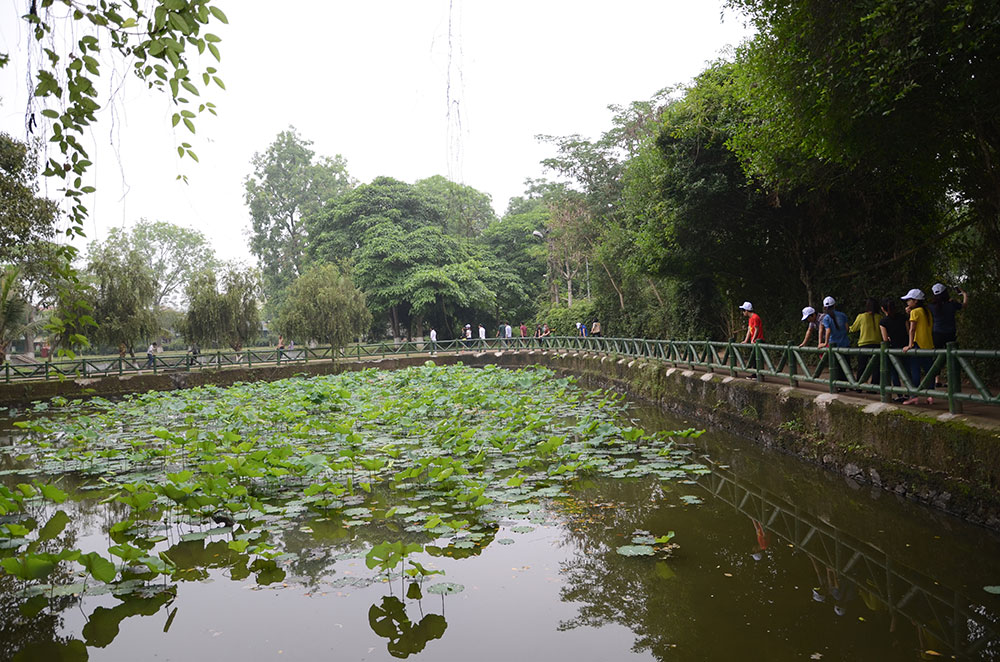 Làng Sen - quê chung...