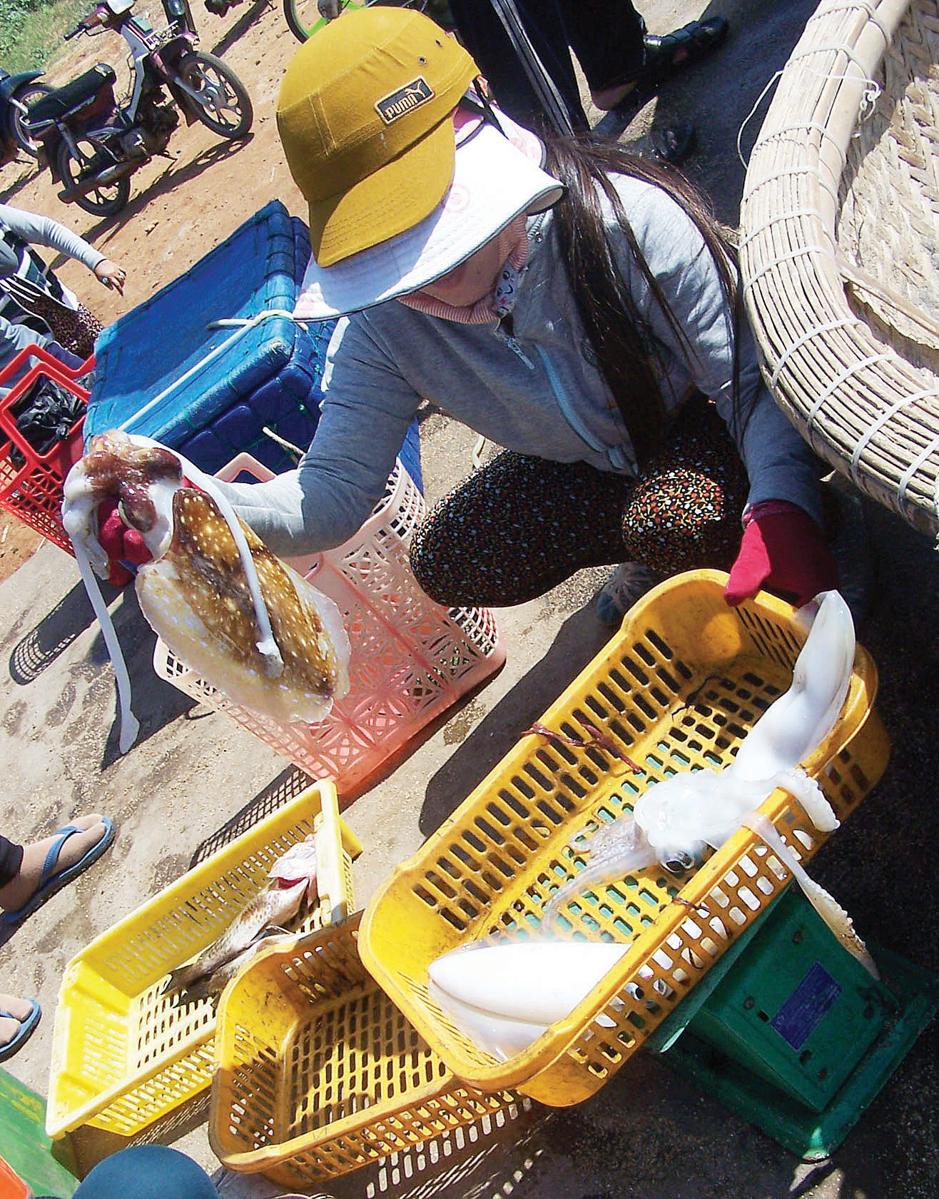 Sản vật Phú Quý