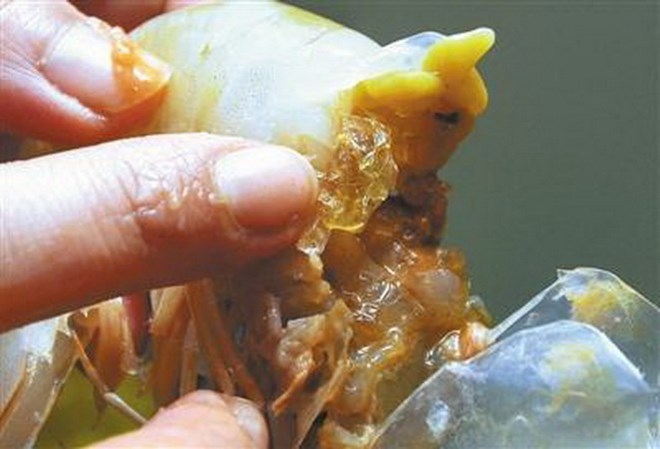 Nỗi lo ung thư từ những con tôm được bơm gelatin từ Trung Quốc